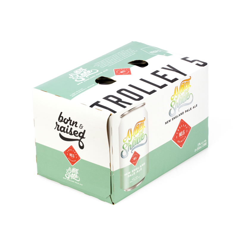 A Hazy Shade NEPA - 6 Pack